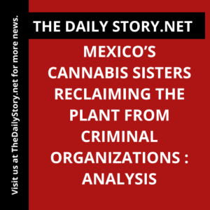 Mexico’s Cannabis Sisters Reclaiming the Plant from Criminal Organizations : Analysis
