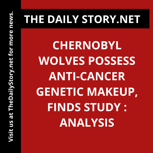 Chernobyl Wolves Possess Anti-Cancer Genetic Makeup, Finds Study : Analysis
