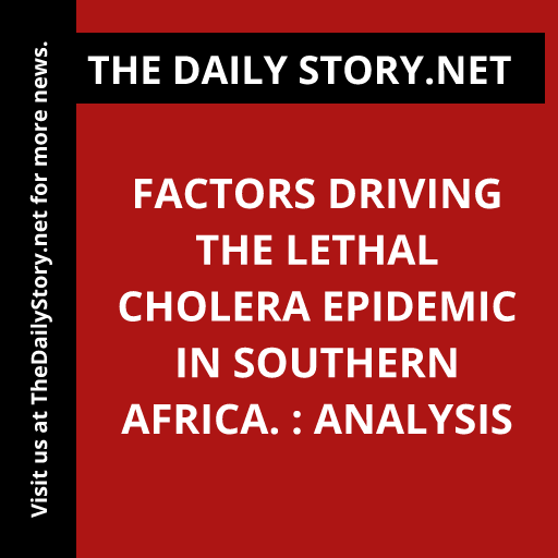 Factors driving the lethal cholera epidemic in Southern Africa. : Analysis