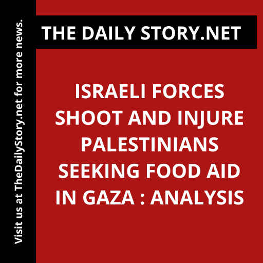Israeli forces shoot and injure Palestinians seeking food aid in Gaza : Analysis