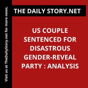 US couple sentenced for disastrous gender-reveal party : Analysis