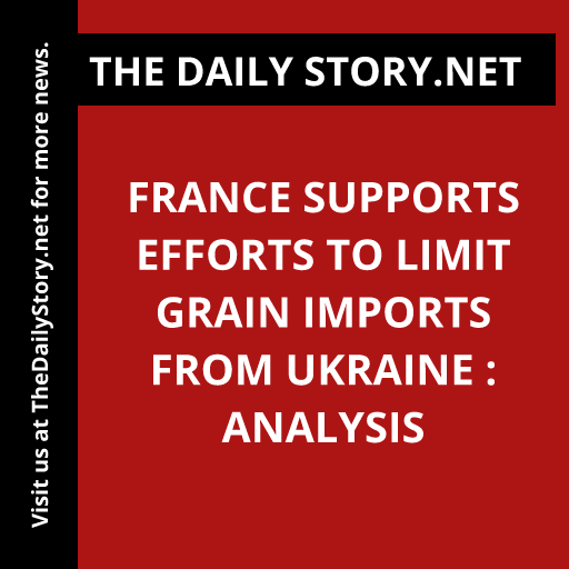 France supports efforts to limit grain imports from Ukraine : Analysis