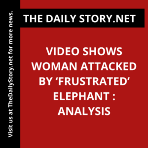 Video Shows Woman Attacked by ‘Frustrated’ Elephant : Analysis