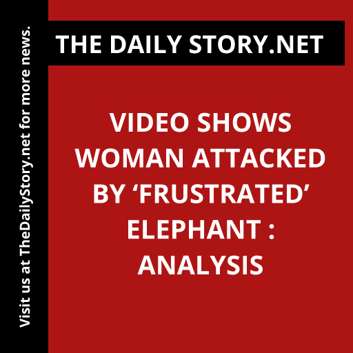 Video Shows Woman Attacked by ‘Frustrated’ Elephant : Analysis