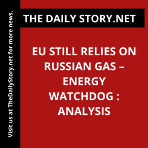 EU Still Relies on Russian Gas – Energy Watchdog : Analysis