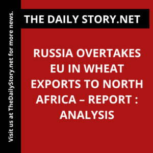 Russia overtakes EU in wheat exports to North Africa – report : Analysis