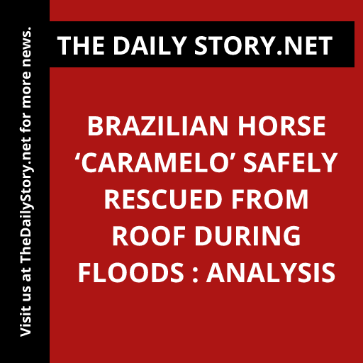 Brazilian horse ‘Caramelo’ safely rescued from roof during floods : Analysis