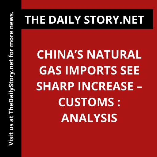 China’s natural gas imports see sharp increase – customs : Analysis