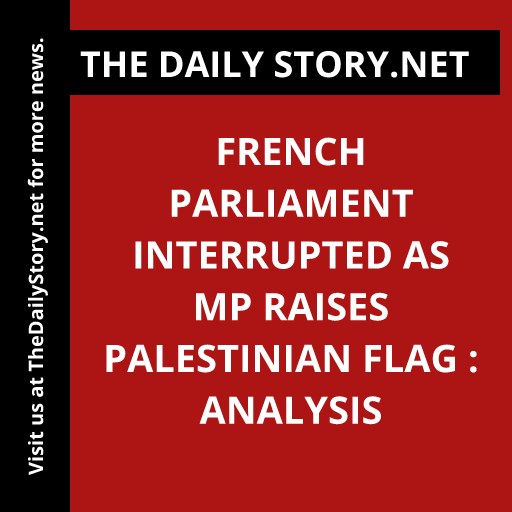 French parliament interrupted as MP raises Palestinian flag : Analysis