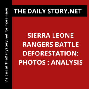 Sierra Leone Rangers Battle Deforestation: Photos : Analysis