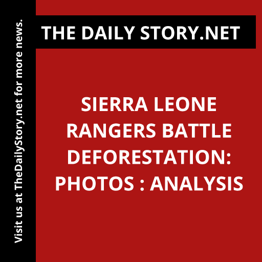 Sierra Leone Rangers Battle Deforestation: Photos : Analysis