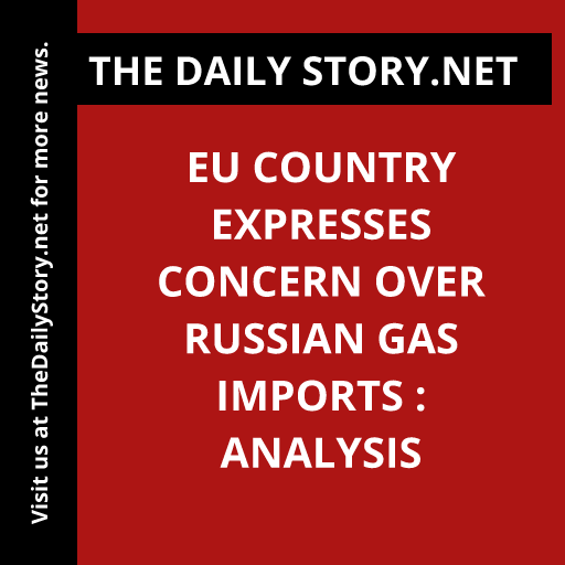 EU country expresses concern over Russian gas imports : Analysis
