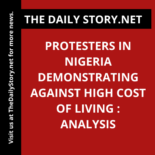 Protesters in Nigeria Demonstrating Against High Cost of Living : Analysis