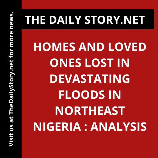 Homes and Loved Ones Lost in Devastating Floods in Northeast Nigeria : Analysis