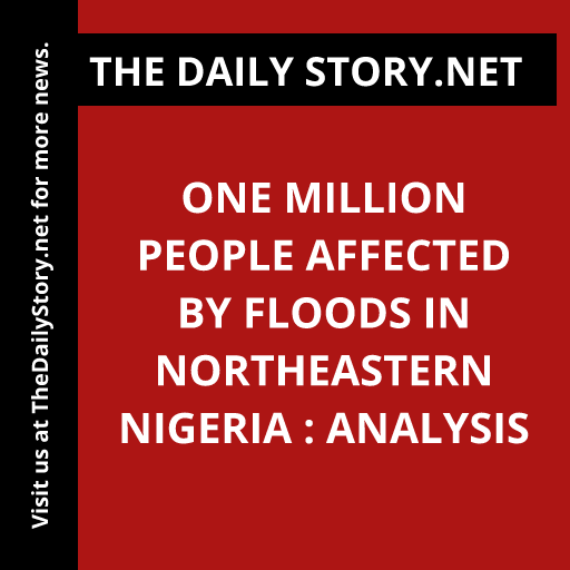 One million people affected by floods in northeastern Nigeria : Analysis