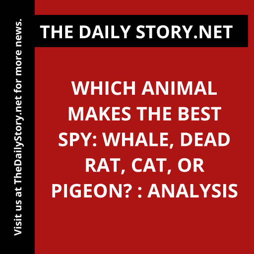 Which animal makes the best spy: Whale, dead rat, cat, or pigeon? : Analysis