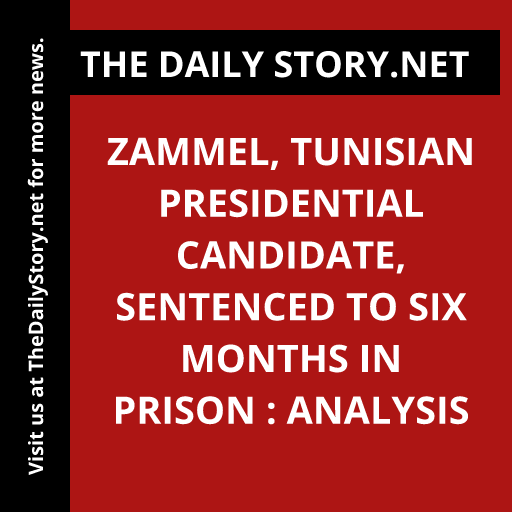 Zammel, Tunisian Presidential Candidate, Sentenced to Six Months in Prison : Analysis