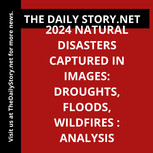 2024 Natural Disasters Captured in Images: Droughts, Floods, Wildfires : Analysis