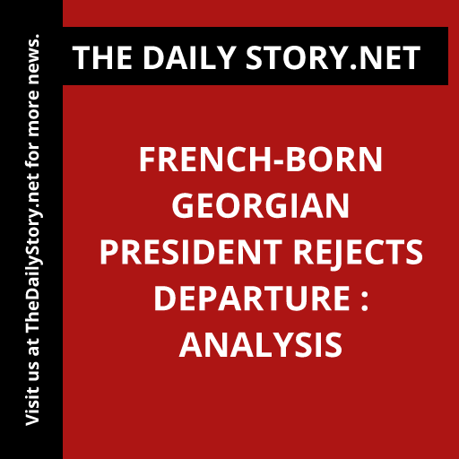 French-born Georgian president rejects departure : Analysis