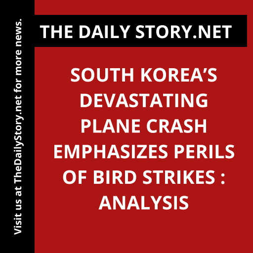 South Korea’s Devastating Plane Crash Emphasizes Perils of Bird Strikes : Analysis